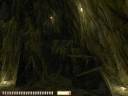 shadowkarras01.jpg