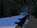 winterharvest04.jpg