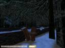 winterharvest05.jpg